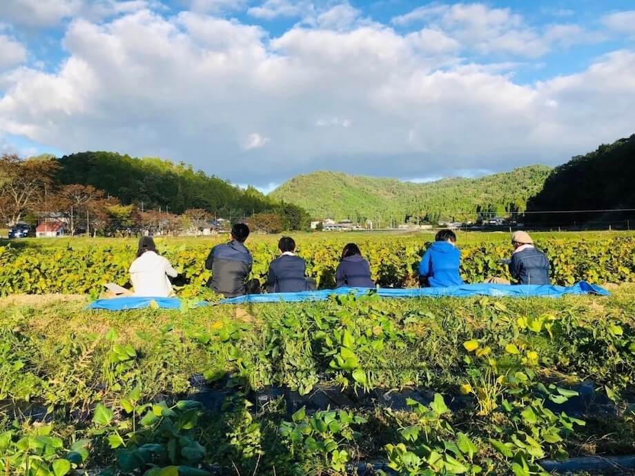 黒豆・黒枝豆・原風景・元気すぎ、あたたかすぎな人。「あたたかくて、美味しい」そんな原点・丹波篠山を残したい！（兵庫県丹波篠山市 / @ma_kichi6）