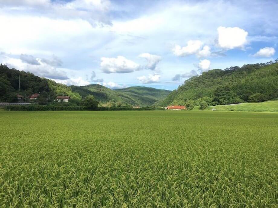 100年後なんてわからない。今を、この一瞬を大切にしていこう。（広島県安芸高田市美土里町 / @okitamasayuki38）