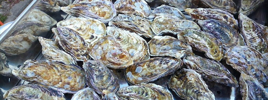 牡蠣の生産量は全国1位を誇ります。