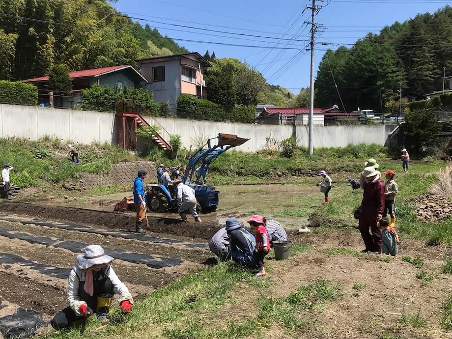 田んぼづくりの様子(2018年)