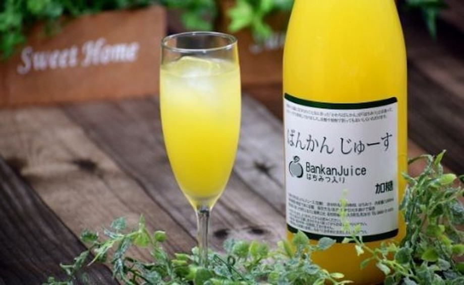 国内生産量ごくわずかの希少な柑橘「河内晩柑」は、別名和製グレープフルーツとも呼ばれ、とてもジューシーで爽やかさが特徴。風邪予防、美肌効果、抗酸化作用や疲労回復、血液をサラサラにする効果もある河内晩柑。季節になると、地元のお母さん3人が1つ1つ丁寧に河内晩柑を洗い、全て手作業でジュースに加工。水を一切使わず、河内晩柑の果汁とはちみつだけ作ることから、1瓶に約3.4kg分もの河内晩柑の果汁が入っているそう。濃厚なのでソーダや焼酎で割っても◎。