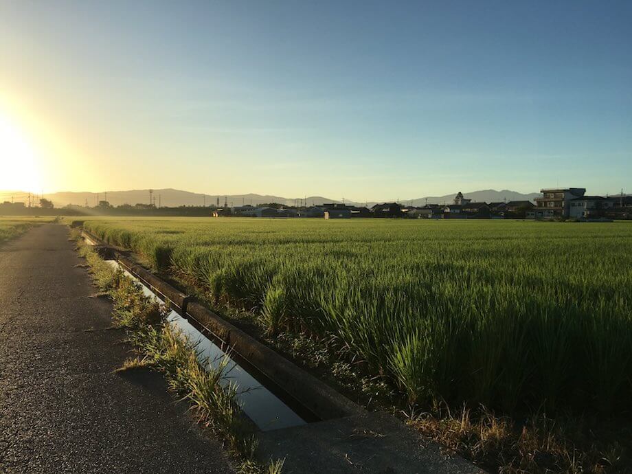 全国で2番目に小さな町の1番好きな景色。（奈良県三宅町 / @miyake_cho_cho）