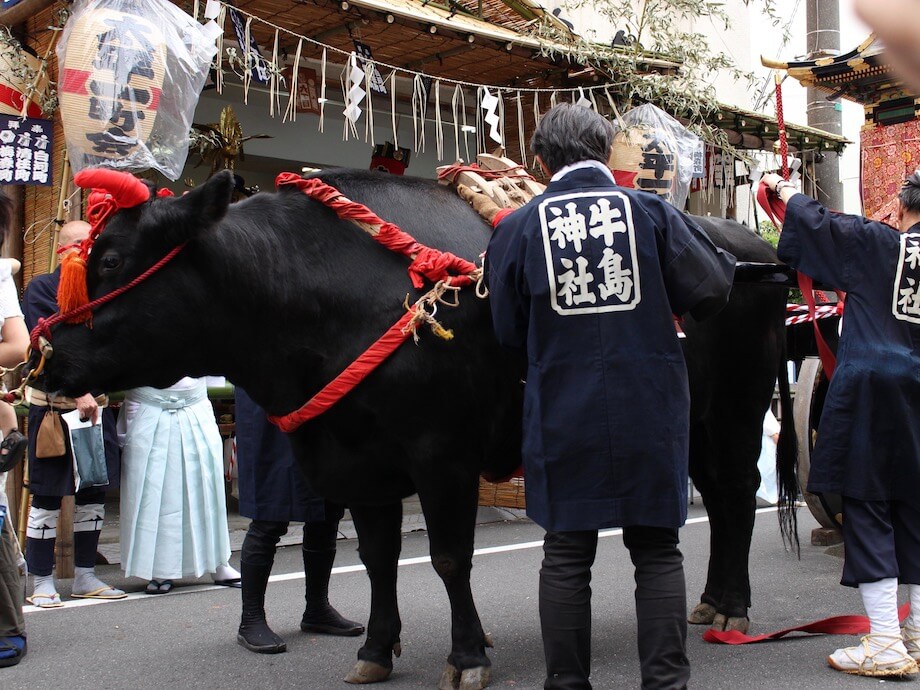 母の代から東京生まれ東京育ちで、東京周辺を転々としてきた自分には“ふるさと”と呼べる場所はない。一番懐かしく思い出すのは、2ヵ月前まで暮らしていた両国・錦糸町周辺。人の温かさと適度な距離感と物語性豊かな祭り。変わる中でも残っていってほしい。（東京都墨田区 / @office89852683）