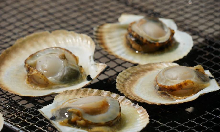 留萌市の特産品の一つであるホタテ。ホタテ以外にも、国内シェア50%を誇る数の子、甘エビ、ボタンエビ、水ダコ、ヒラメ、いくら、ブランド米、ブランド牛など、想像しただけで胃袋がくすぐられる美味しい特産品が。