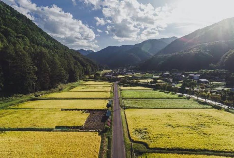 協力隊時代の活動エリアだった辰野町の里山エリア・川島地区