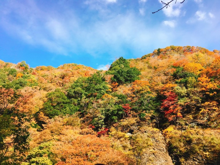 袋田の滝(紅葉がきれいな屏風岩)