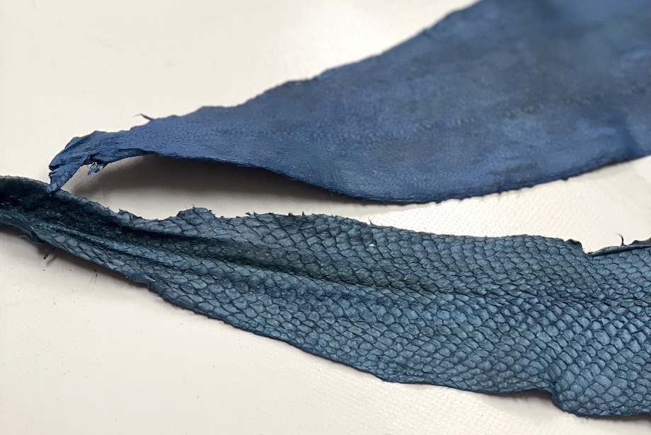 野口さんが加工したフィッシュレザー。誰も完成させたことのなかった、フィッシュレザーの開発に1年以上の時間を費やし、ただひたすら実現に向かって試行錯誤を繰り返したと話す野口さん。LOCAL LETTER MEMBERSHIPでは、自分自身の好きを極めている人を「偏愛ビト」と呼んでいるのですが、「野口さんは魚偏愛ビトだ！」と全員が声を揃えて話している姿が印象的でした。