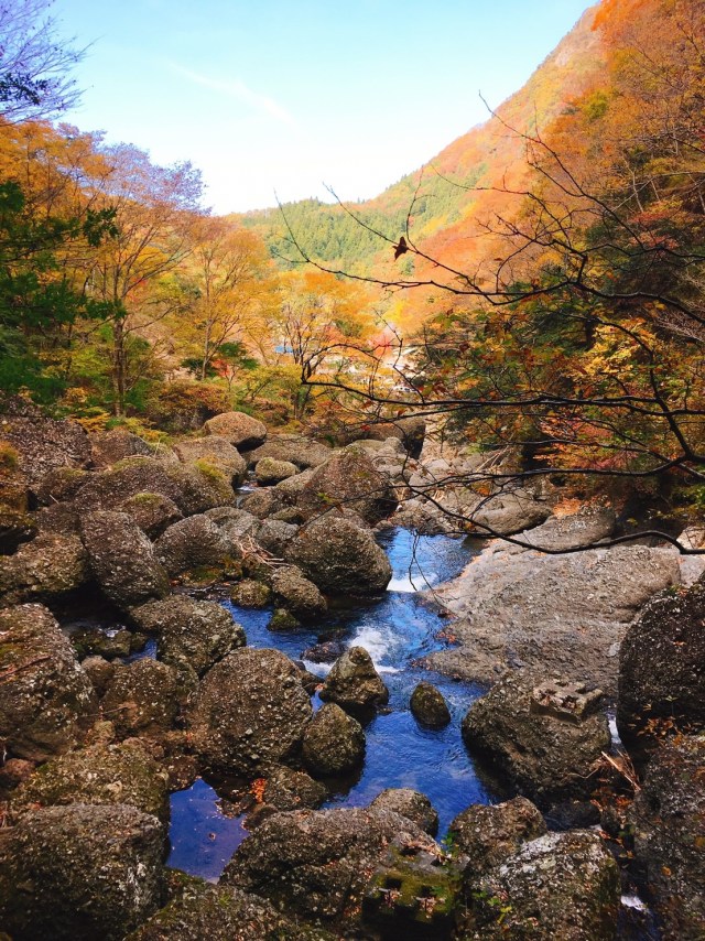 袋田の滝(紅葉がちょうど見頃)