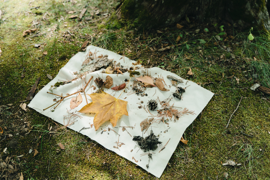 写真：清水エリ
