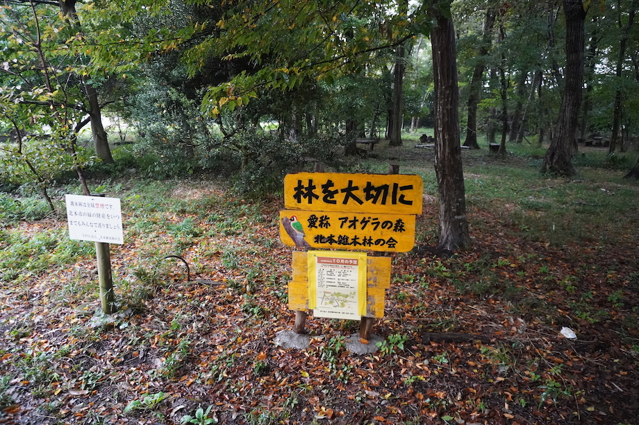 北本市は市街地にも雑木林がある