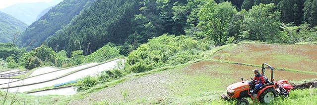 引用先:Makuake(神々の里高千穂で棚田オーナー募集。限界集落でつながる農業を実現したい)