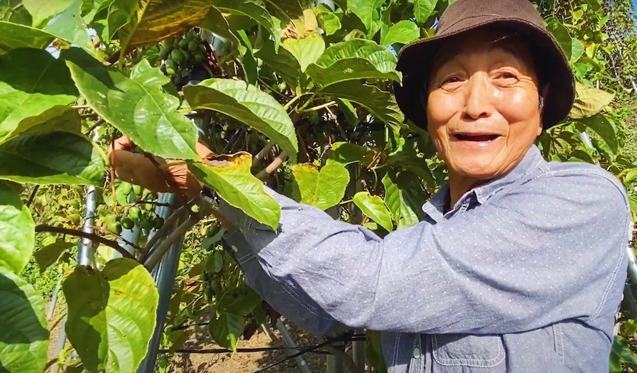 幻の果実「さるなし」を生産している野原丈司さん